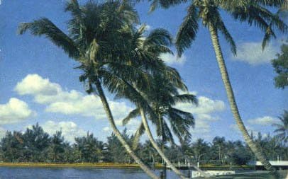 Whispering Palms, Florida Képeslap